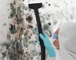 Best Attic Mold Removal  in Hubbard, TX